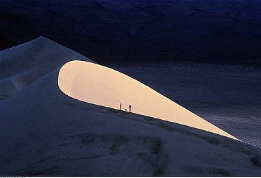  《United 1944》发售日预告 12月12日EA发售